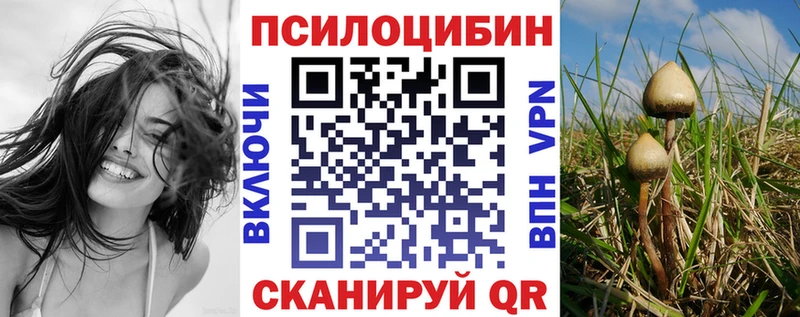 Купить закладки  Окуловка  Галлюциногенные грибы MAGIC MUSHROOMS 